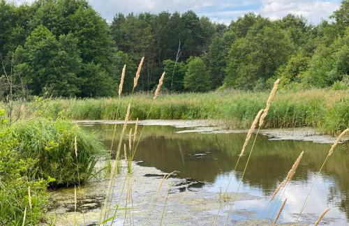Komfortowy apartament nad Zalewem Sulejowskim - Foto 40