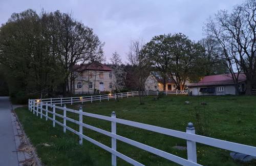 Charmante Wohnung in schöner Lage - Foto 13