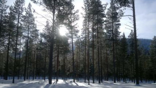 Kangastus a - Foto 4, Inside other