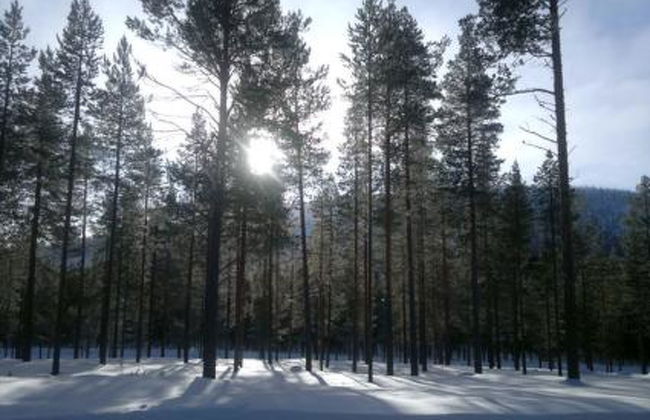 Kangastus a - Foto 4