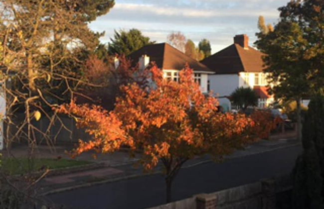 Lovely and Comfortable 1-bed Apartment in Bromley - Foto 19