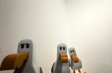 La Belle et le Nooki - Foto 30