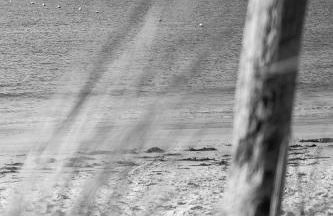 NOUVEAUTE!!! Villa en bord de mer avec piscine intérieure! - Foto 31