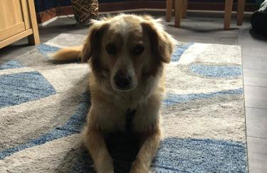 Room with a view - Foto 55