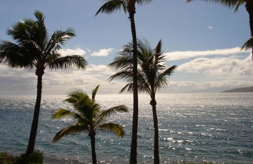 Islander on the Beach Unit 244 - Foto 21