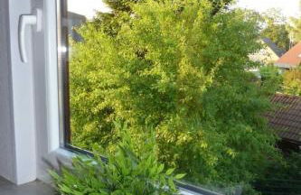 Apartment Ruhige Ferienwohnung mit Balkon und Parkplatz by Interhome - Foto 7