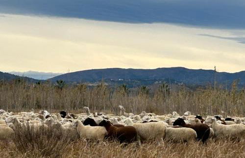 Mi refugio en la playa - Foto 36