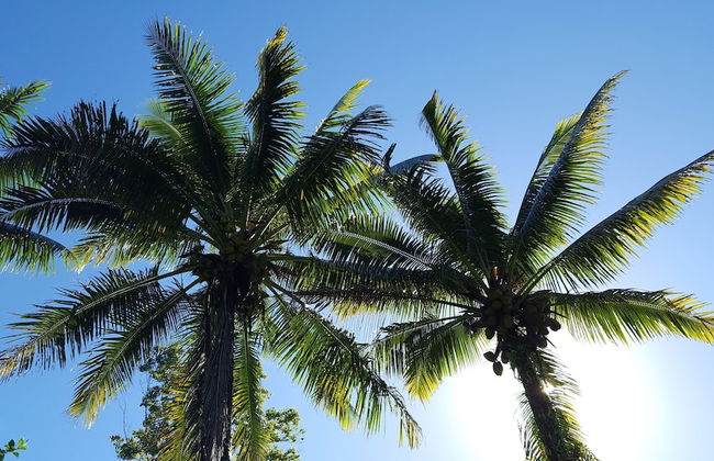 The Jewel Box 2 Bedroom Home by RedAwning - Foto 27