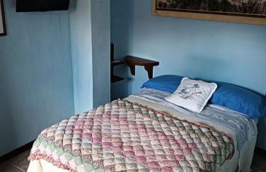 Il girasole - Foto 11