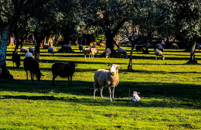 Hotel Pantanha Nature & Fitness - Foto 40