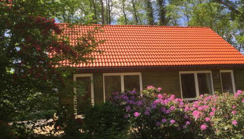 Ferienhof Ohlenbusch - Photo 4