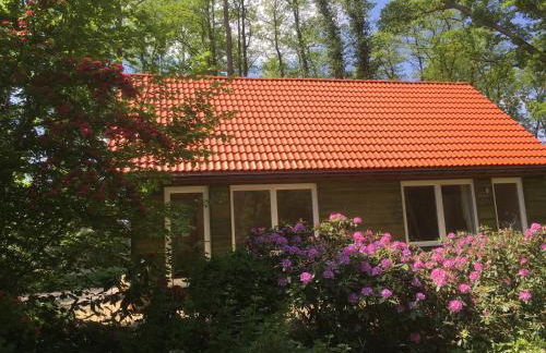 Ferienhof Ohlenbusch - Photo 4