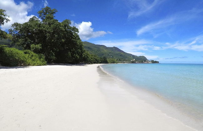 Les Jolies Eaux Villa - Chateau Elysium - Foto 23