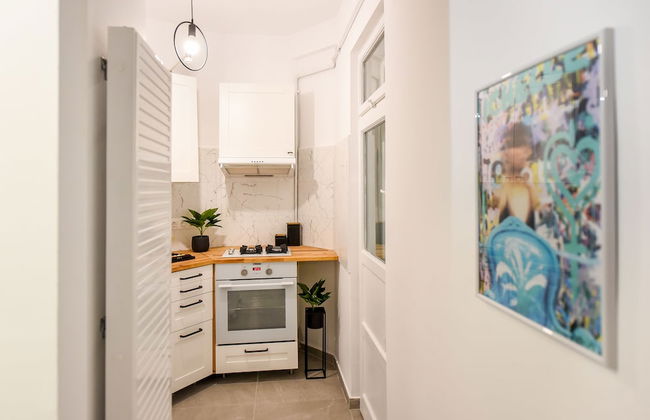 Homey - Bulevardul Carol 1 no. 45 - Foto 68