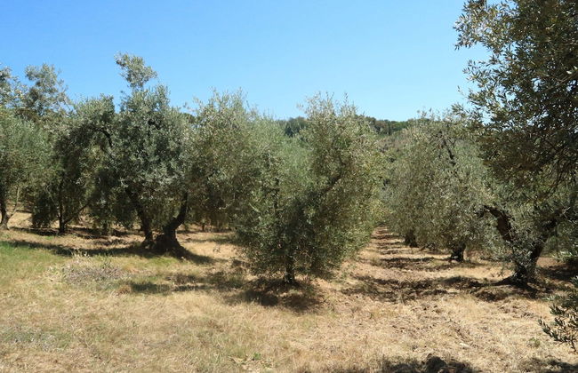 Snug Holiday Home in Castagneto Carducci near Thermal Bath - Foto 37