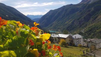 Casa Lo Tzé - Foto 4