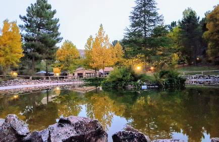 Chalet lujo en finca Zafiro lagunazo Riopar 5 o 3 dormitorios y 3 Baños Parque Natural del Rio Mundo - Foto 33