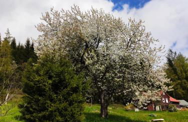 Historisches Aschberg Haisl Klingenthal, Terrasse, großer Garten 6 plus 2 Personen - Photo 23