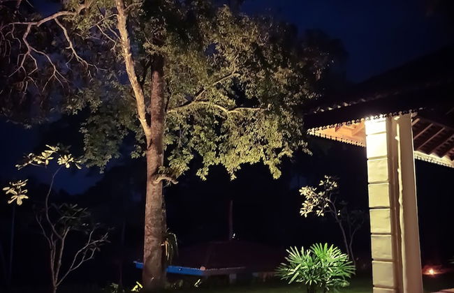 The Mugatiya - Foto 34