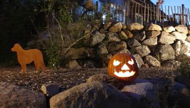 Manu's Ferienwohnung - Foto 3