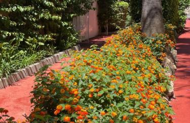 Marbella Real Golden Mile -EaW Homes - Foto 34