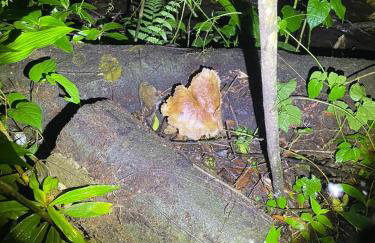 Casinha da Val - Foto 11