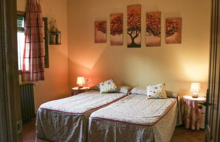 Finca Ecológica Morera - Foto 9