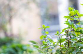 Porta Pia apartment ZENO 53 - Foto 46