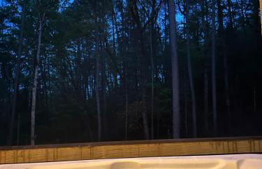 Lux Blue Ridge Cabin, Hot tub, Swing, PingPong! - Foto 73