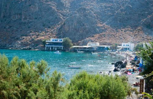 Pantheon Studios - Foto 5