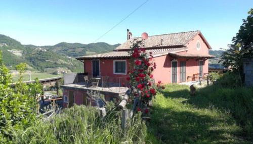 Tenuta MonteOliveto - Cottage Relax - Agriturismo nelle Langhe - Foto 5