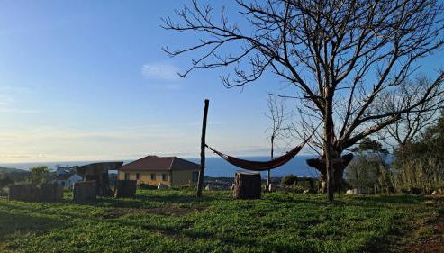 Biscoitos Top View - Photo 2, Garden view
