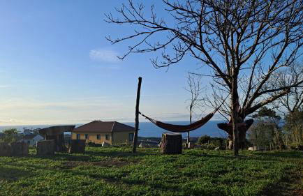 Biscoitos Top View - Photo 2