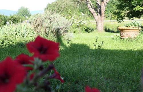 Rosso Papavero Home - Photo 34