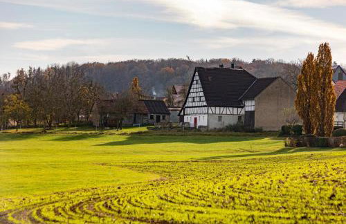 Ferienhaus Rote Sau - Foto 18