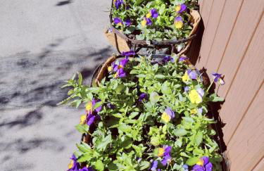 Two Floor Flat in Town Center - Foto 3