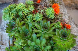 Retro apartment on island Mljet - Foto 48