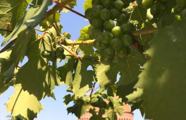 Main Boarding House - Foto 30