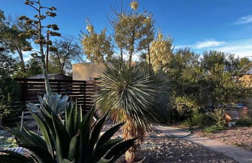 Prickly Pear Rancher - Close to Downtown - Foto 4