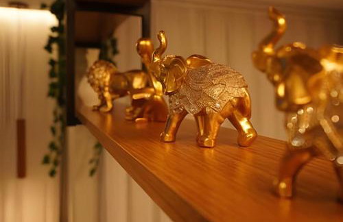 Studio Amazônia Requinte Wifi350 Completo - Foto 15