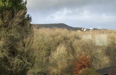 Ferienwohnung Hochwald - im Herzen des Saarlandes - Foto 11