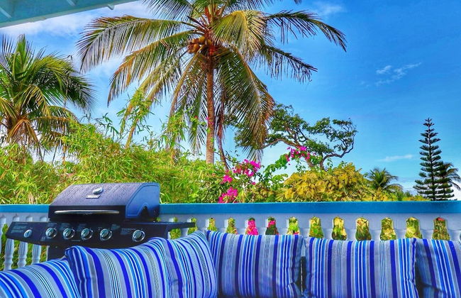 Blue Whale Villa - Photo 39