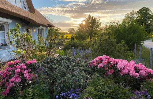 Reethaus Vilmnitz - Ferienwohnung Goor - Foto 1
