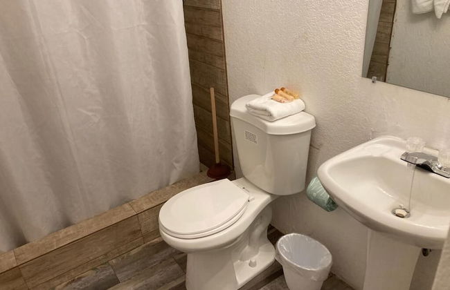 Gladiolas 2107 - Foto 10