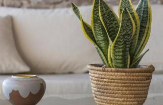 Anesea By Milos Concierge - Foto 8