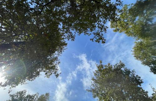 La Cabane 56 - calme - cosy - nature - sans vis-à-vis - Foto 12