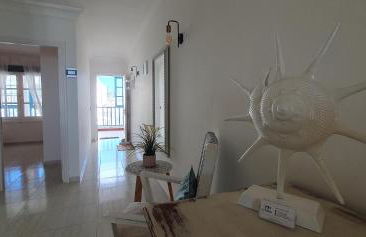 Erizo de mar - Foto 27