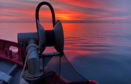 ROQUES DAURADES III - JARDIN PRIVADO - Foto 47