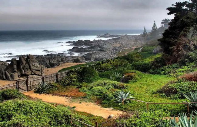 Isla Negra, Pomaire & Viña Undurraga Day Trip - Photo 2