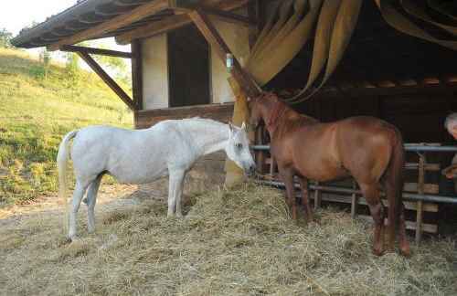 Agriturismo Campo del Pillo - Foto 43